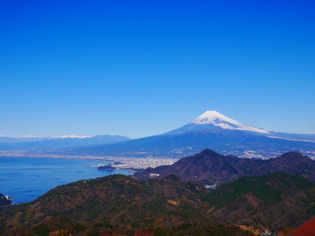 伊豆の自然に囲まれた天然水の水源